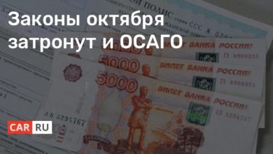 Photo of Законы октября затронут и ОСАГО